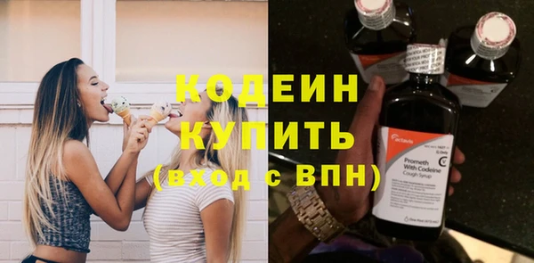 спиды Бородино