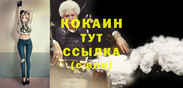спиды Бородино