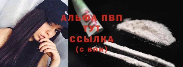 спиды Бородино