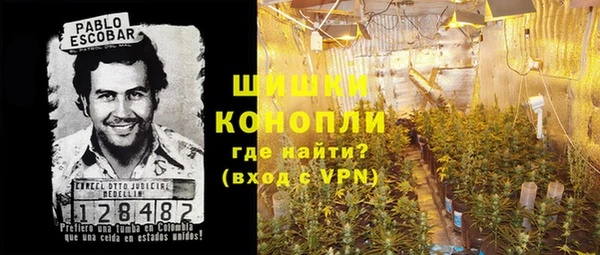 спиды Бородино