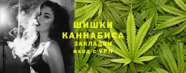 спиды Бородино
