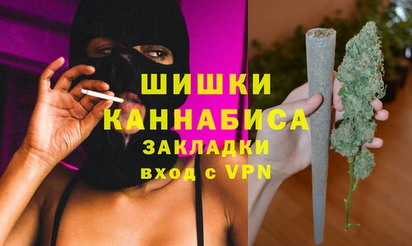 спиды Бородино
