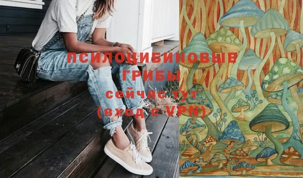 2c-b Бугульма
