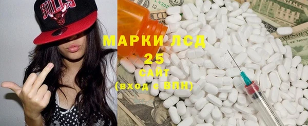 спиды Бородино