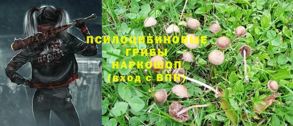 не бодяженный Бронницы