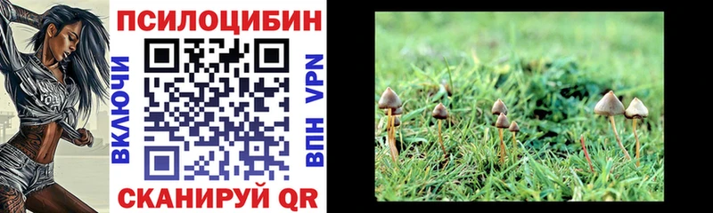 Галлюциногенные грибы Magic Shrooms  mega как зайти  Подольск 